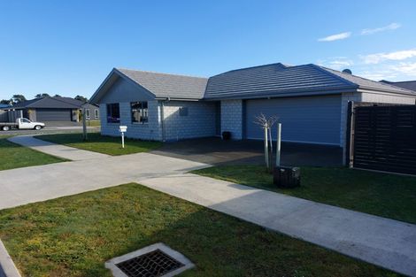 Photo of property in 32 Catalina Crescent, Burleigh, Blenheim, 7201