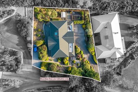 Photo of property in 53d Kotare Street, Waikanae, 5036