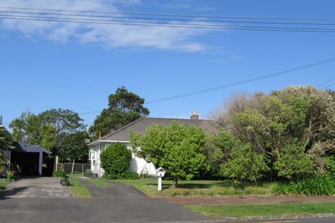 Photo of property in 17 Neville Street, Point Chevalier, Auckland, 1022