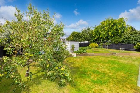 Photo of property in 355 Turere Lane, Te Awamutu, 3800