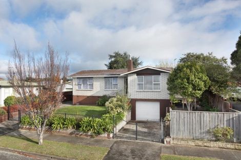 Photo of property in 22 Dewe Avenue, Feilding, 4702