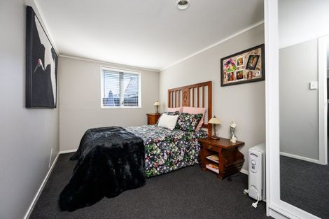 Photo of property in 101a Limbrick Street, Terrace End, Palmerston North, 4410