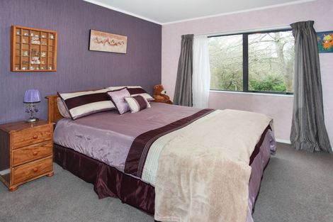 Photo of property in 29 Tyson Lane, Tuakau, 2121