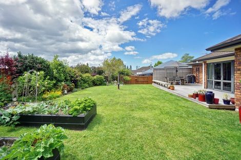 Photo of property in 6 Norm Freeman Drive, Te Puke, 3119