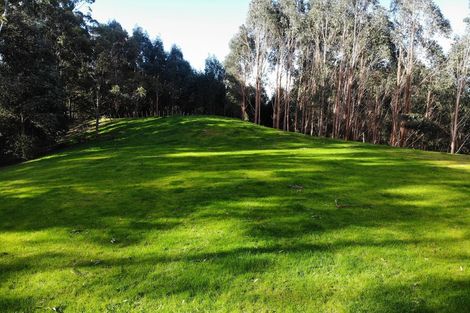 Photo of property in 74 Mick Dillon Road, Tahekeroa, Kaukapakapa, 0873