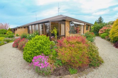 Photo of property in 17a Carlisle Place, Marchwiel, Timaru, 7910