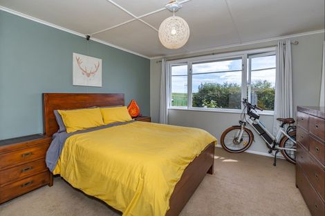 Photo of property in 51 Laward Road, Shannon, Palmerston North, 4474