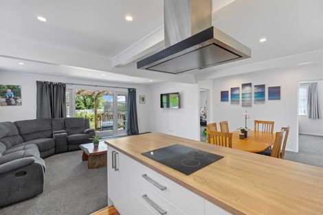 Photo of property in 51 Winchester Street, Levin, 5510