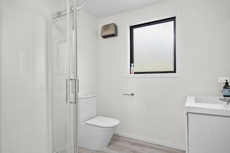 Photo of property in 46 Selkirk Street, Roxburgh, 9500