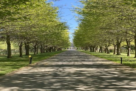 Photo of property in 55 Threlkelds Road, Ohoka, Kaiapoi, 7692