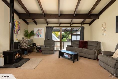 Photo of property in 169b Ohauiti Road, Hairini, Tauranga, 3112