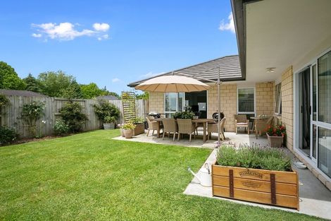 Photo of property in 60b Raleigh Street, Leamington, Cambridge, 3432