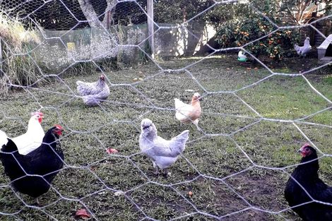 Photo of property in 17 Pumpkin Flat Road, Kuaotunu, Whitianga, 3592