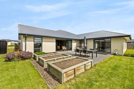 Photo of property in 15 Johnson Avenue, Amberley, 7410