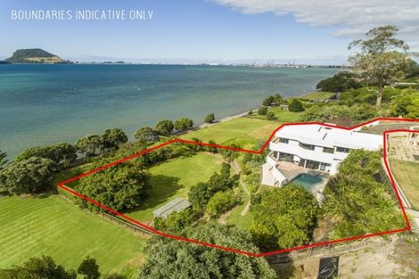 Photo of property in 19b Pah Street, Matua, Tauranga, 3110