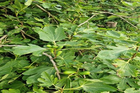 Photo of property in 88b Townsend Road, Miramar, Wellington, 6022