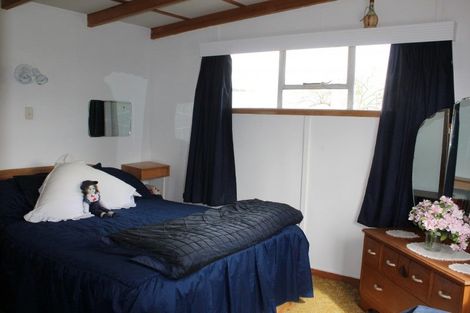 Photo of property in 9 Arrow Street, Naseby, 9396