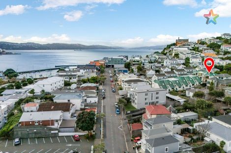 Photo of property in Vein & Skin, 38a Roxburgh Street, Mount Victoria, Wellington, 6011