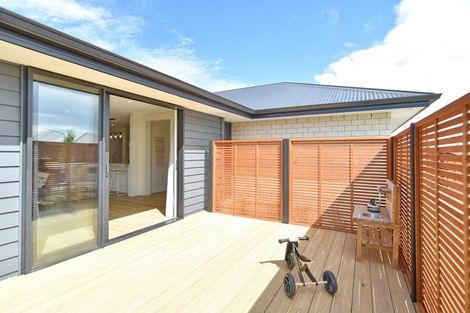 Photo of property in 21 Quinn Crescent, Woodend, 7610