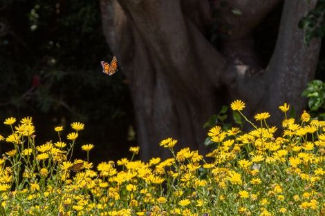 Photo of property in 90-92 Kiwi Road, Raumati Beach, Paraparaumu, 5032