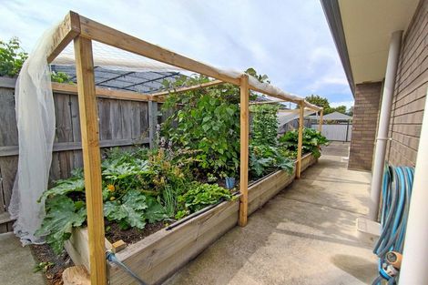 Photo of property in 10 Mcisaac Place, Renwick, 7204