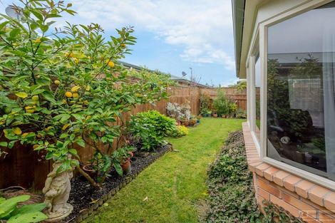 Photo of property in 20b Reeve Street, Levin, 5510