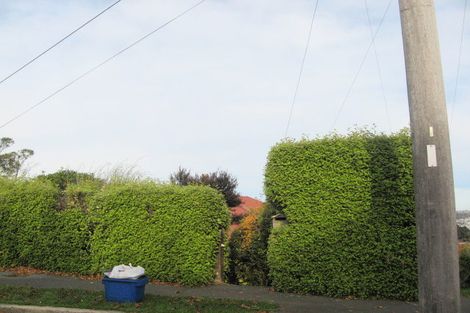 Photo of property in 12 Grandview Crescent, Opoho, Dunedin, 9010