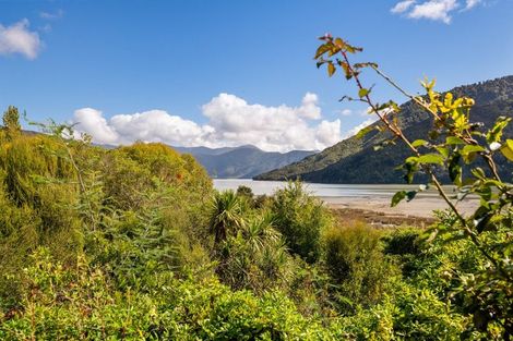 Photo of property in 948 Queen Charlotte Drive, Linkwater, Picton, 7281