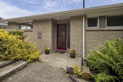 Photo of property in 118 Mulford Street, Concord, Dunedin, 9018
