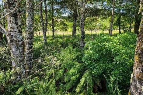 Photo of property in 8 Raurimu Road, Raurimu, Owhango, 3989