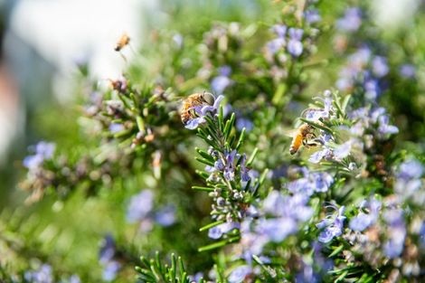 Photo of property in 8 Port Street, Mount Victoria, Wellington, 6011