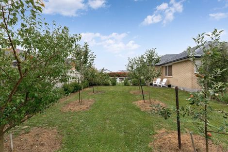 Photo of property in 1 Fantail Avenue, Carterton, 5713