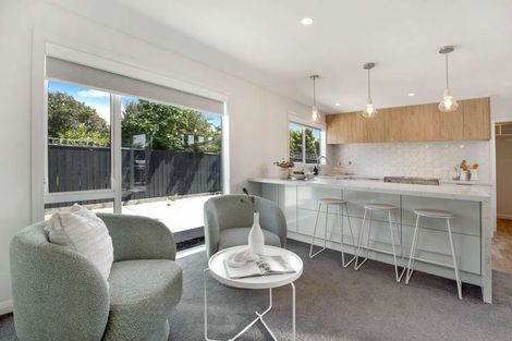 Photo of property in 6a Salisbury Avenue, Terrace End, Palmerston North, 4410