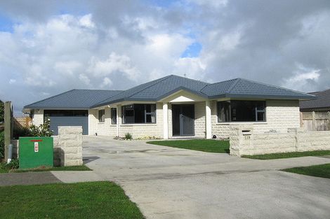 Photo of property in 219 Kimbolton Road, Feilding, 4702