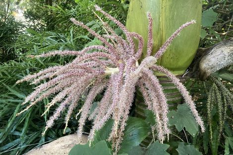 Photo of property in 125 Matangi Road, Matangi, Hamilton, 3284