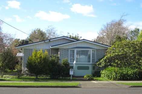 Photo of property in 59 Macarthur Street, Levin, 5510