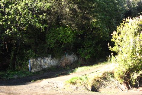 Photo of property in 118 Doctors Point Road, Waitati, 9085