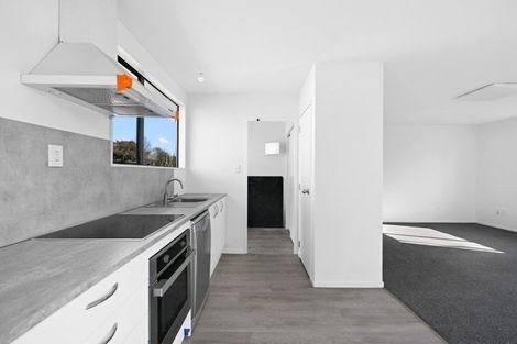 Photo of property in 73a Anglesea Street, Hamilton Central, Hamilton, 3204