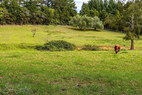 Photo of property in 163a Neems Road, Tinopai, Matakohe, 0593