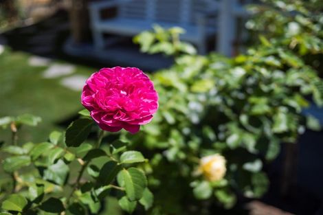 Photo of property in 153a High Street, Bulls, 4818