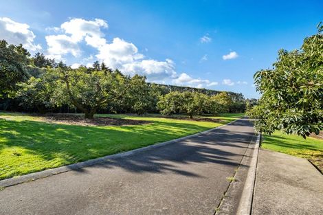 Photo of property in 237b Busby Road, Tahawai, Katikati, 3170