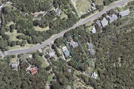 Photo of property in 33 Glenesk Road, Piha, New Lynn, 0772