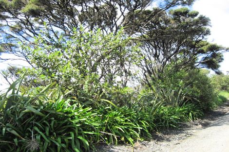Photo of property in 43a Te Ahuahu Road, Piha, New Lynn, 0772