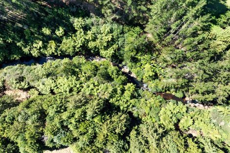 Photo of property in 168 Youngson Road, Whakamarama, Tauranga, 3179