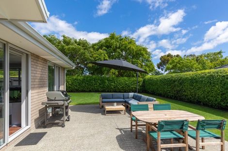 Photo of property in 215 Taylor Pass Road, Witherlea, Blenheim, 7201