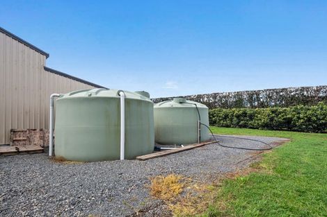 Photo of property in 124 Kauri Point Road, Tahawai, Katikati, 3170