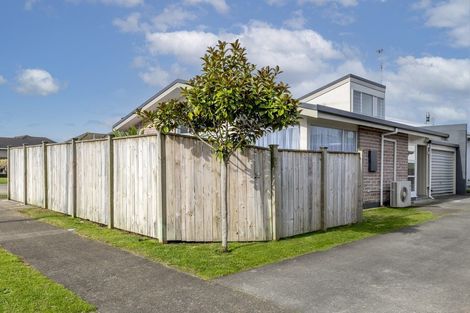 Photo of property in 190 Tiro Tiro Road, Levin, 5510