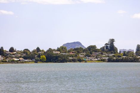 Photo of property in 117 Haukore Street, Hairini, Tauranga, 3112