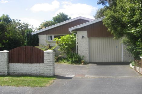 Photo of property in 53 Martin Avenue, Beckenham, Christchurch, 8023