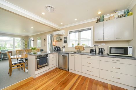 Photo of property in 29 Monmouth Street, Feilding, 4702